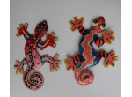 magnet_2anolis_1