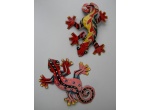 magnet_2anolis_4
