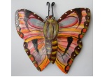 papillon5