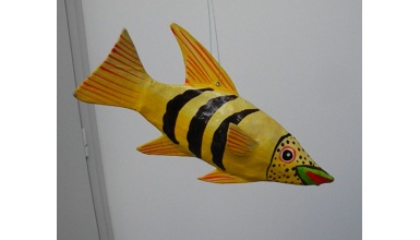 dscn9980