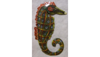 hippocampe11