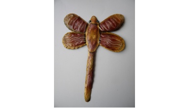 libellule6