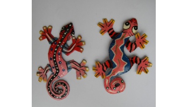 magnet_2anolis_1