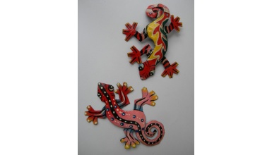 magnet_2anolis_4