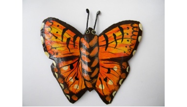 papillon1