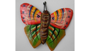 papillon3