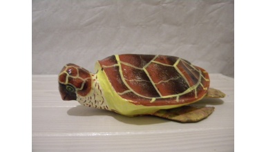 tortuefonce